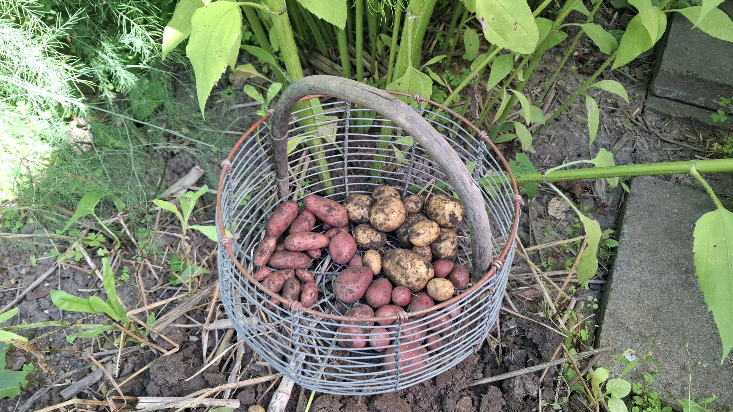 story-01 1000014332 Scaled