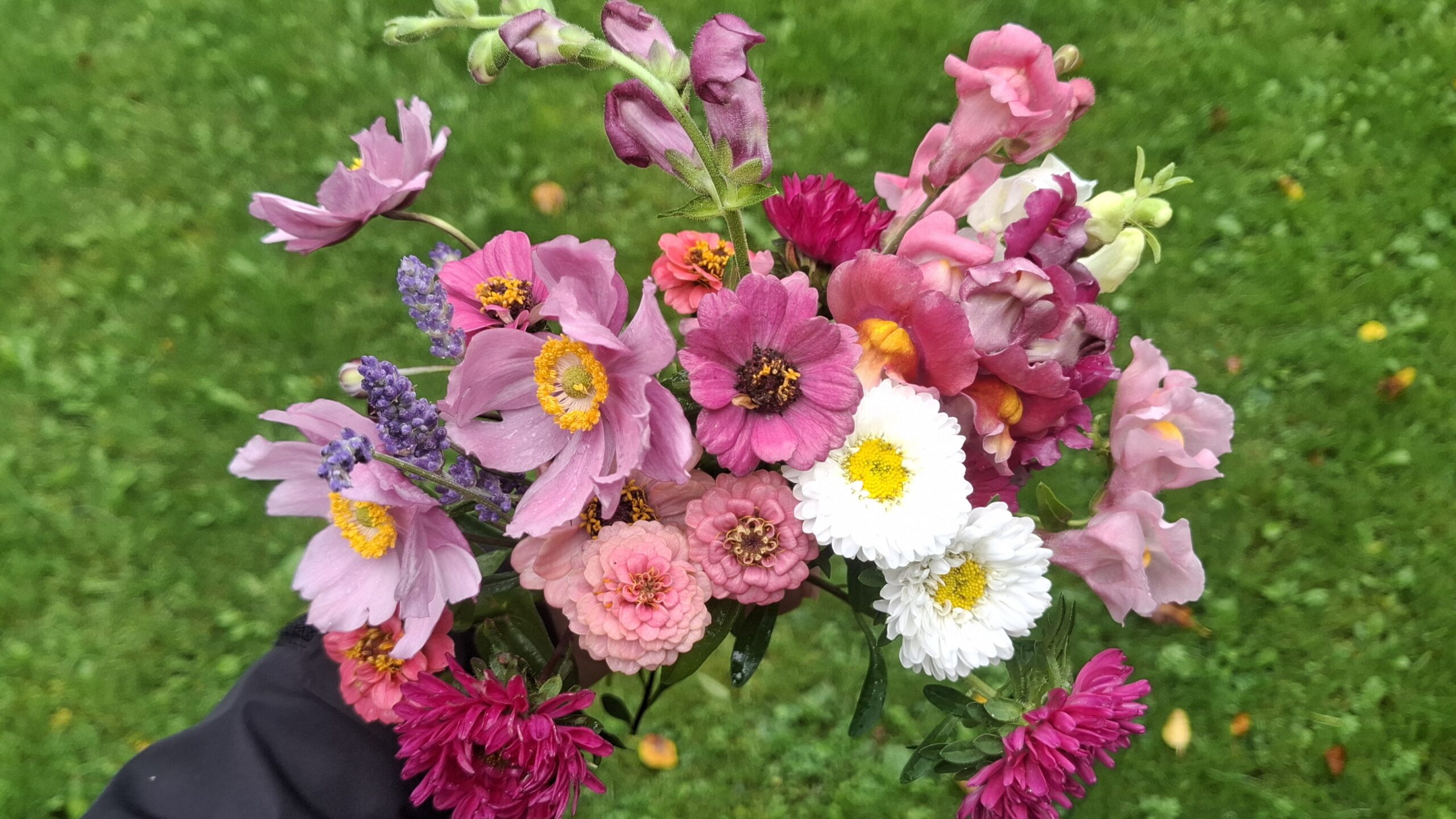 services-05 1000018129 Scaled