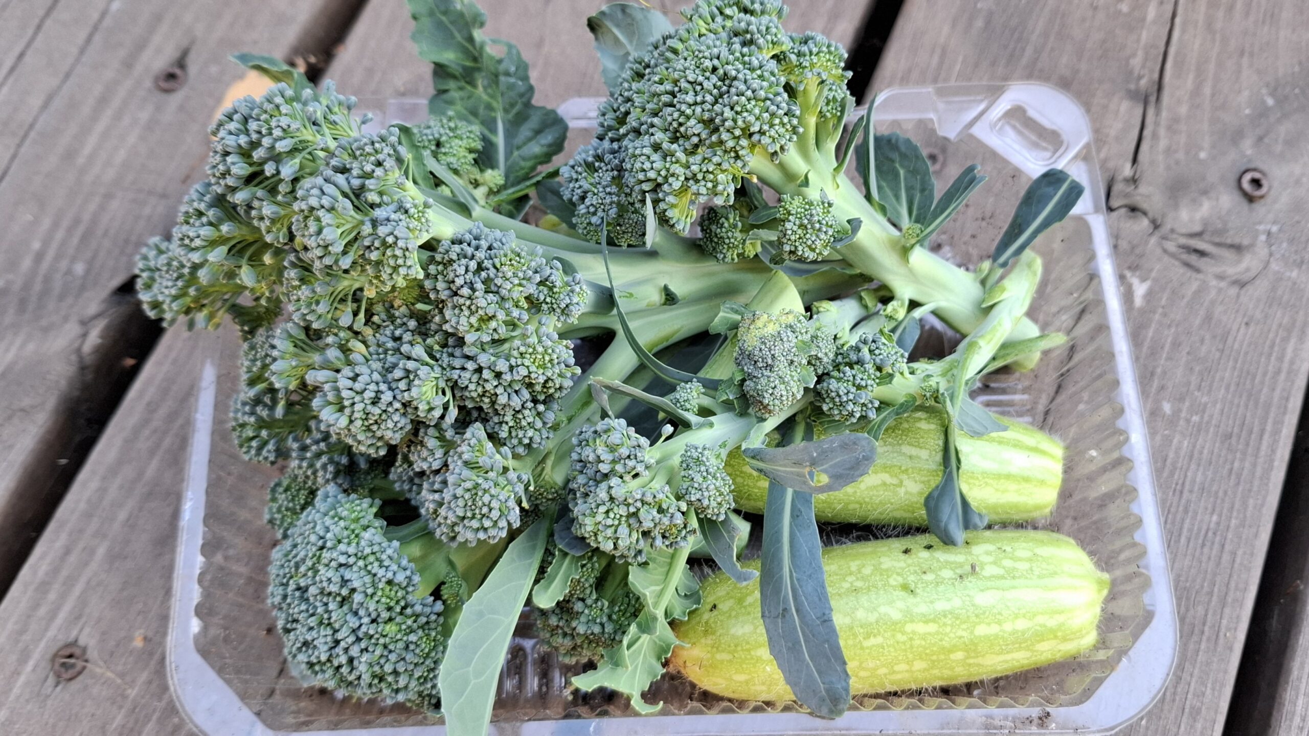 story-02 1000018960 Scaled